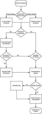 Troubleshooting Guide to Expressing Intrinsically Disordered Proteins for Use in NMR Experiments